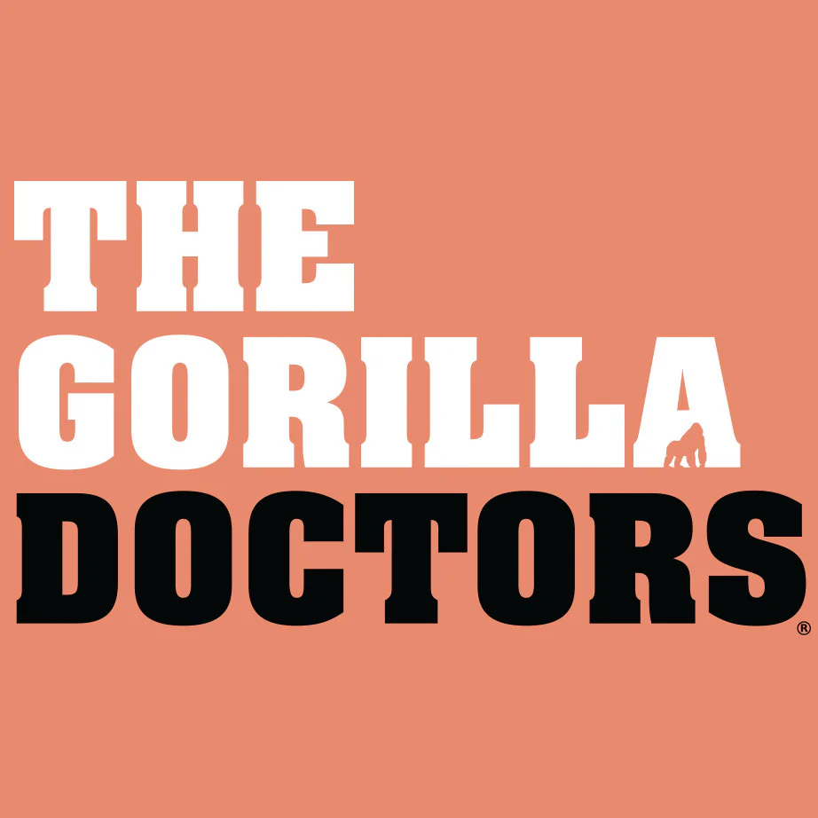 Gorilla Doctors - Ladies V-Neck - Light Orange - Image 2