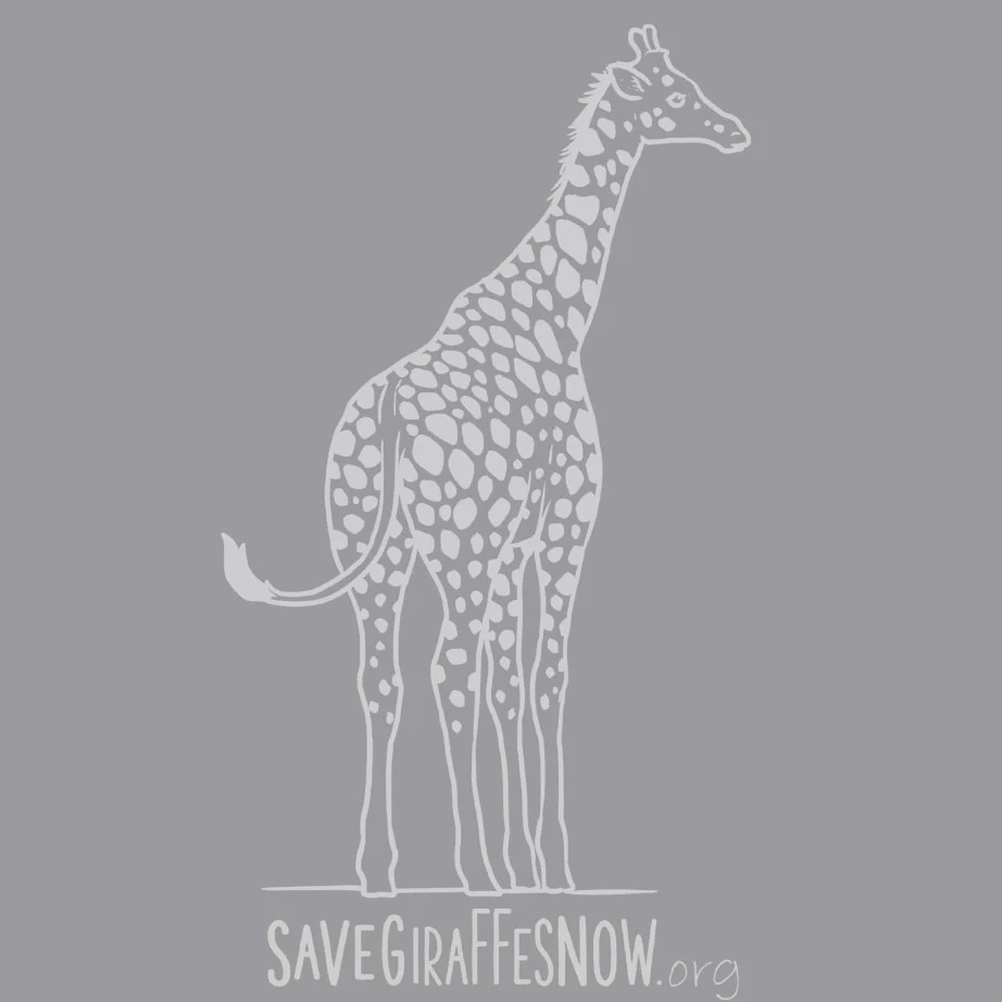 Save Giraffes Now - Adult - Heather Gray - Image 4