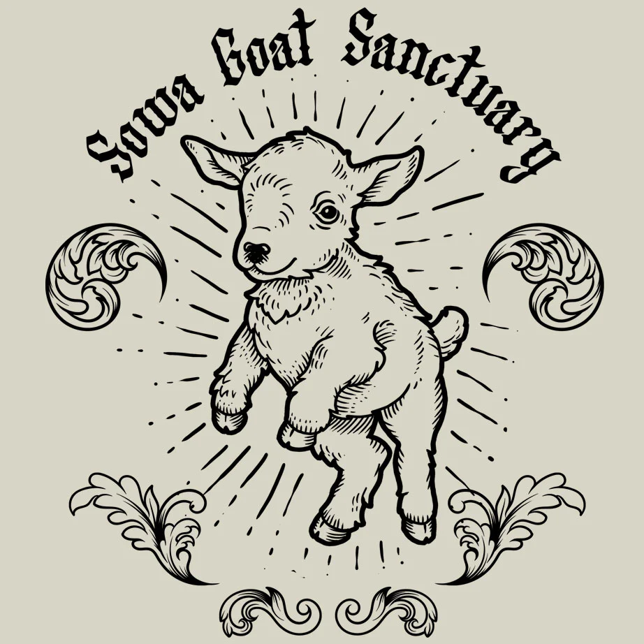 SOWA Goat Sanctuary - 100% ORGANIC Adult Allmade® Tee - White Sand - Image 2