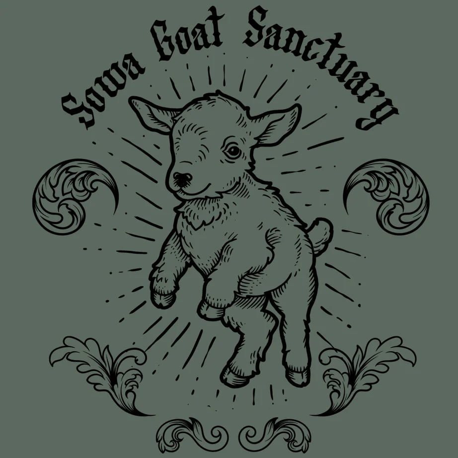 SOWA Goat Sanctuary - 100% ORGANIC Adult Allmade® Tee - Matcha Green - Image 2