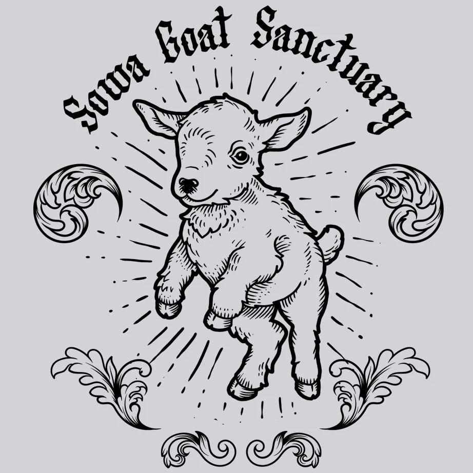 SOWA Goat Sanctuary - Ladies Triblend Dolman - Heather White - Image 2