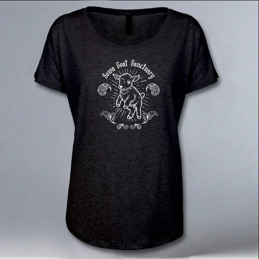 SOWA Goat Sanctuary - Ladies V-Neck - Black