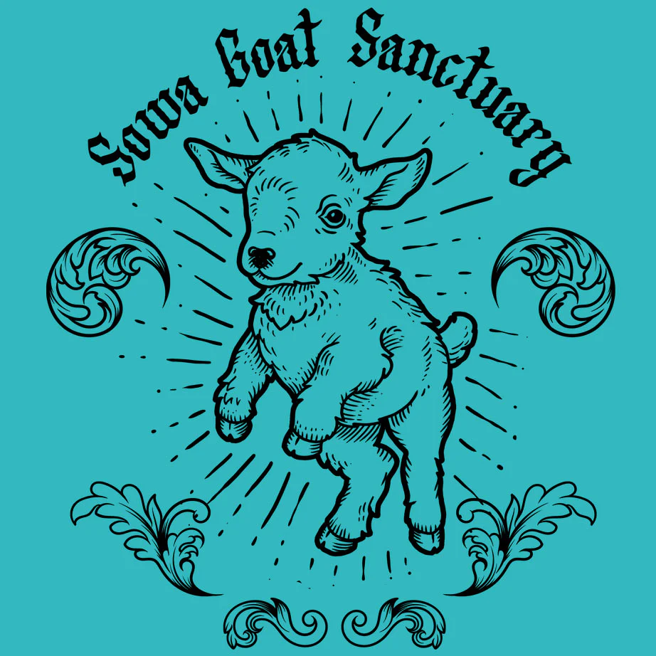 SOWA Goat Sanctuary - Ladies V-Neck - Tahiti Blue - Image 2