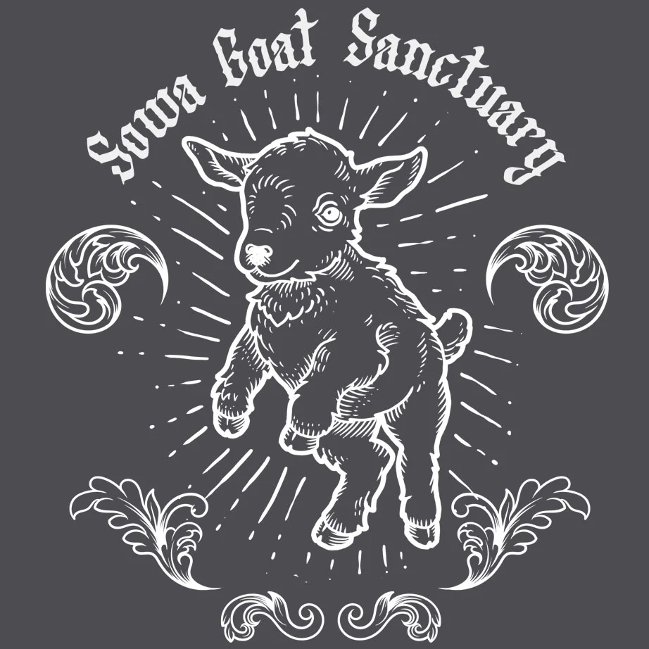 SOWA Goat Sanctuary - Midweight French Terry Pullover Hoody - Heavy Metal - Image 2